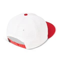 Sandlot Goods Kingdom Arch Vintage Flat Bill Hat -Kansas City Store Sanlot Kingdom Arch Flatbill Back