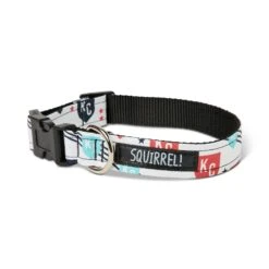 KC Current Dog Collars, Squirrel!
